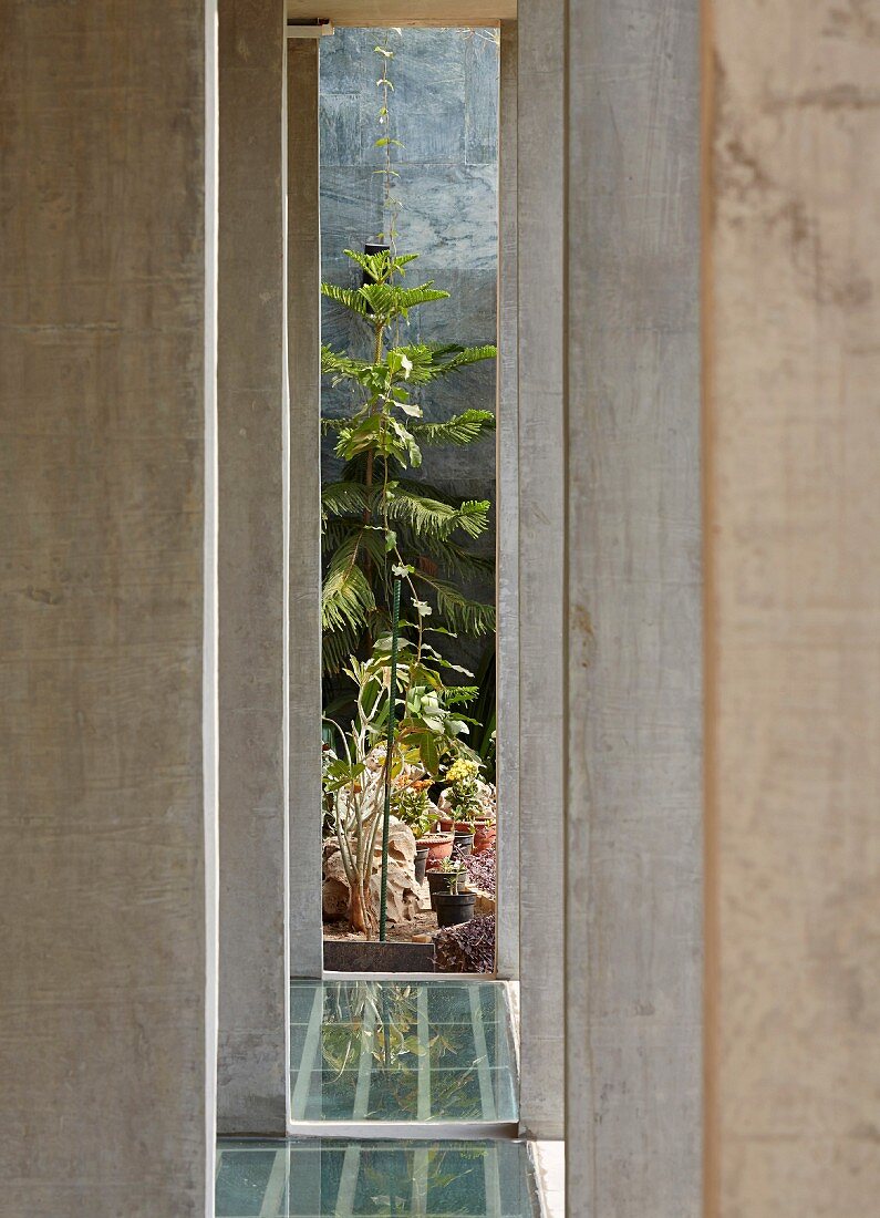 Betonsäulen auf Terrasse, am Ende Blick auf sonnenbeschienene Pflanzen