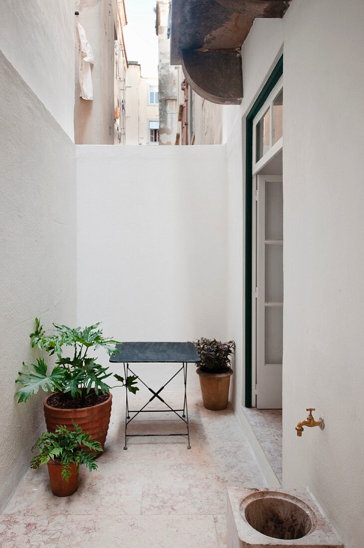 Potted plants on floor next to table in narrow, urban courtyard