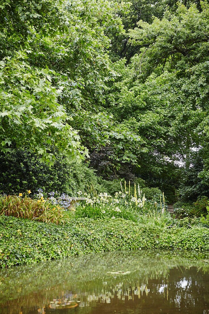 Teich in eingewachsener Gartenanlage