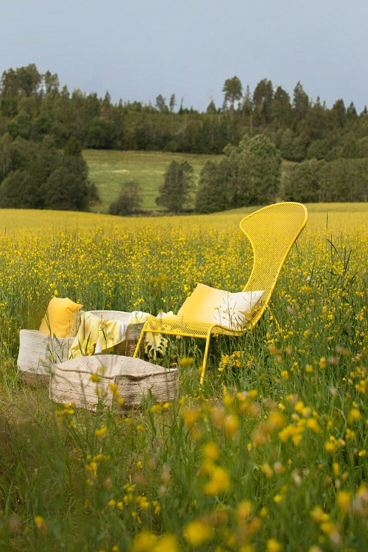 Yellow metal chair and picnic supplies in field of flowering rapeseed