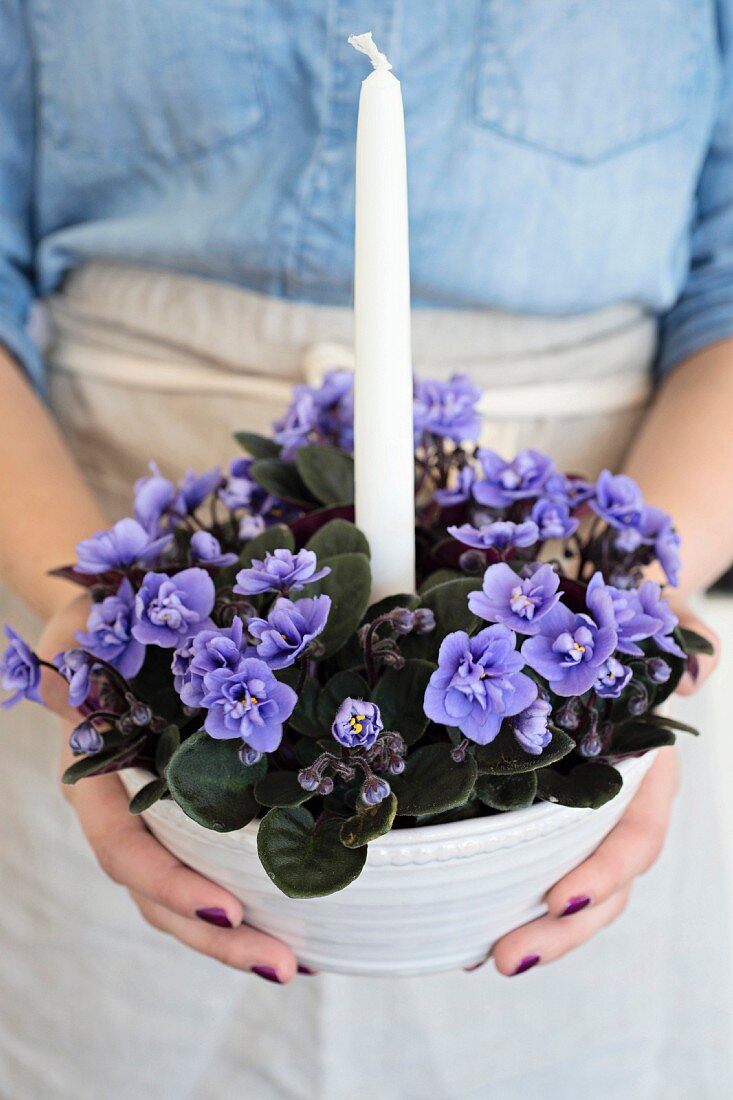 Violett blühende Saintpaulia mit weisser Kerze in Keramikschale von Frauenhänden gehalten