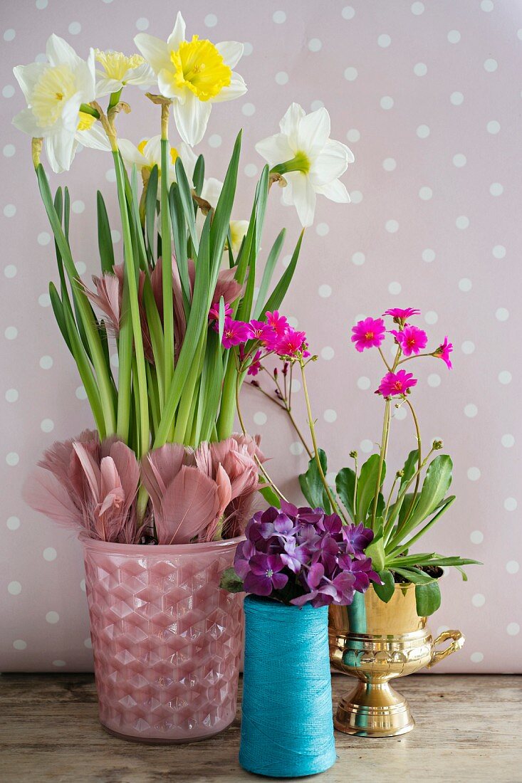 Narcissus and feathers in pink pot and pink and purple flowers in various containers
