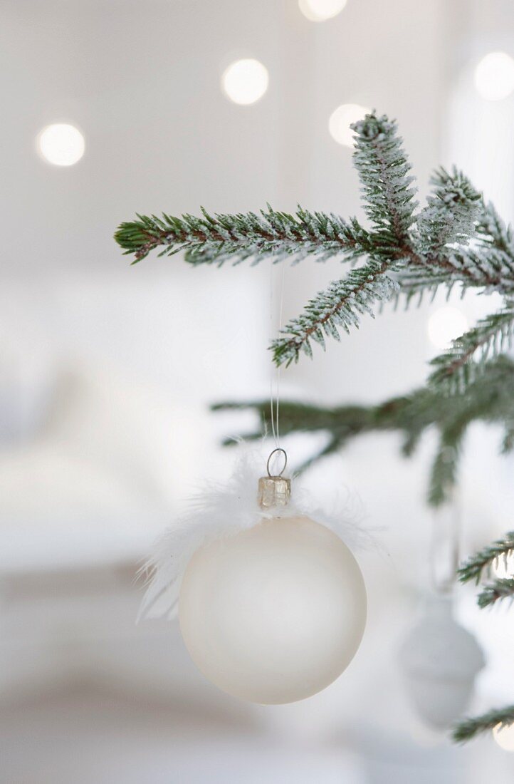 Naturweiße Weihnachtskugel mit weißer Feder an Tannenzweig gehängt