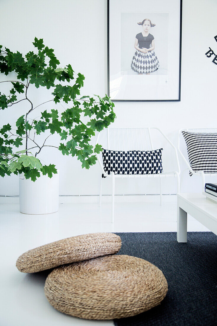 Ecru floor cushion and white metal chair with back and white patterned cushions next to potted tree in white interior