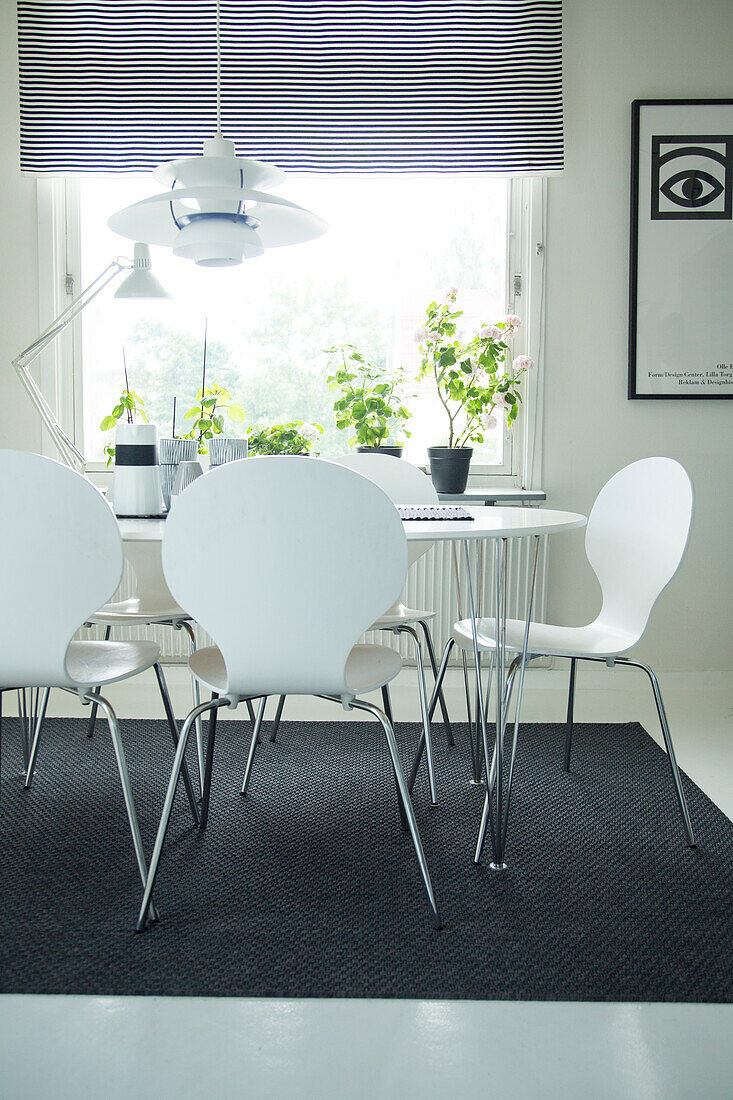 Classic white chairs around table on black rug below classic pendant lamp