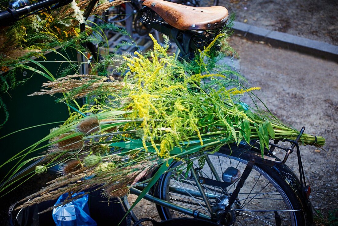 Bunch of grasses on bicycle luggage rack