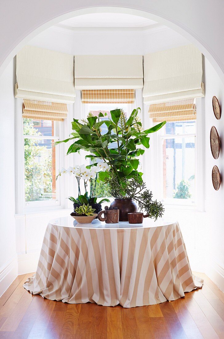 Zimmerpflanzen auf einem Tisch mit gestreifter Tischdecke im Erkerzimmer