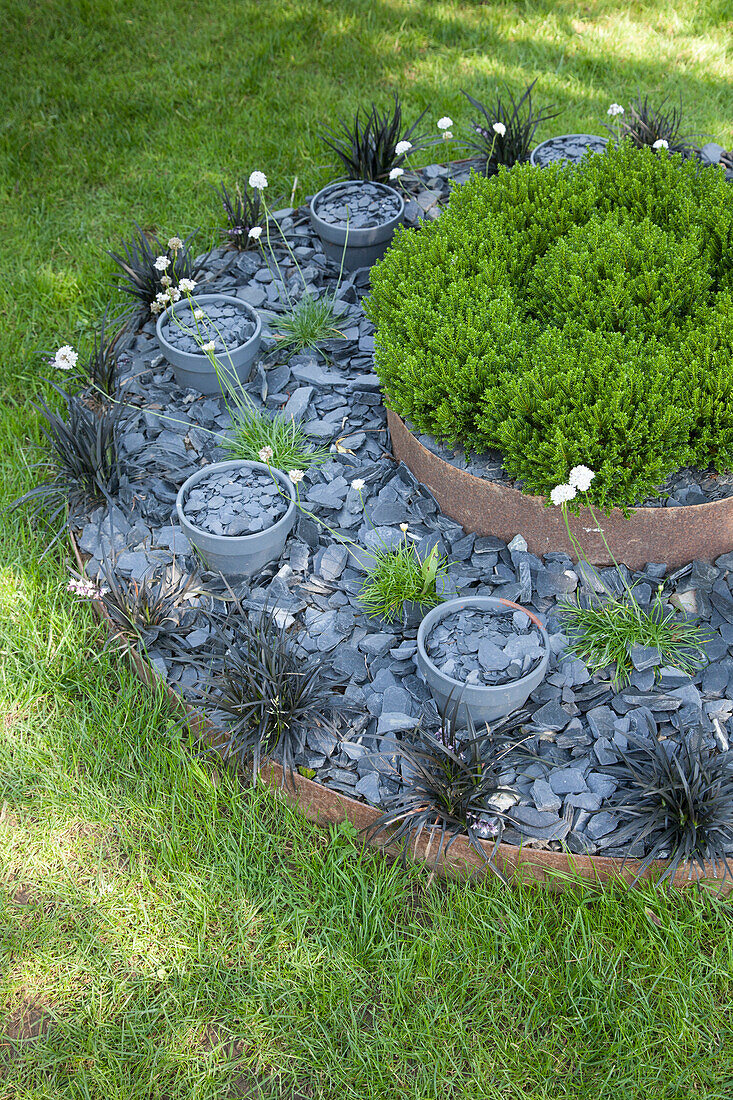 Modern round flowerbed on two levels mulched with slate chippings