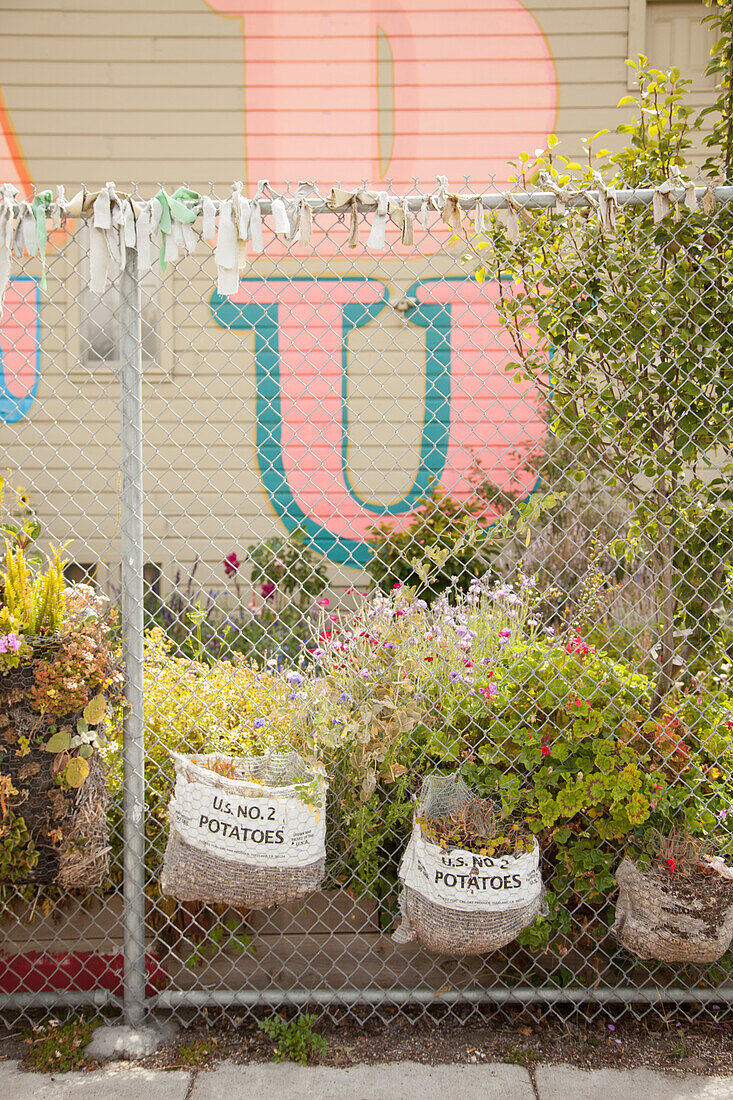 Beds of flowering plants between wire mesh fence and graffiti on façade