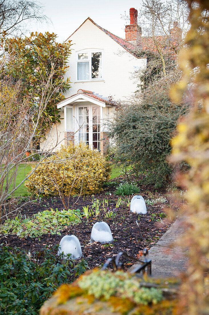 Small cloches in wintry garden with house in background