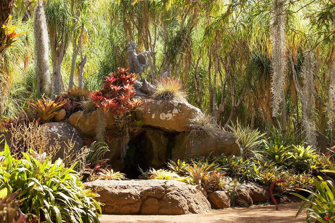 Caves amongst bromeliads and palm trees in exotic garden