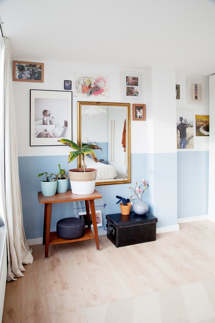 Plants on side table below pictures on wall with pale blue dado