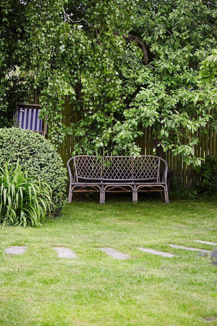 Garden bench in front of lattice fence under tree in garden