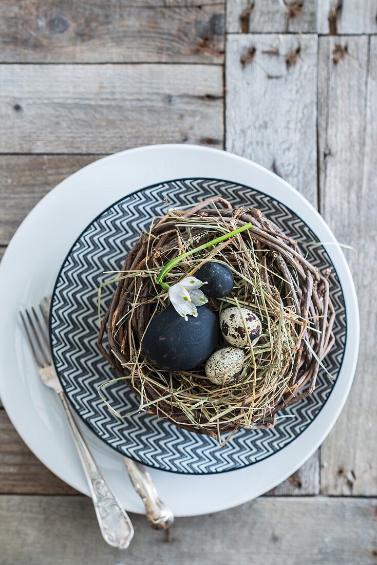 Black eggs and quail eggs in nest on plate