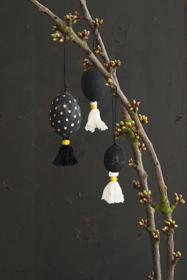 Easter decorations hung from branch against black background