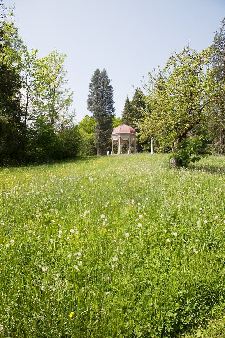 Sommerwiese mit Pusteblumen und einem Pavillion am Waldrand