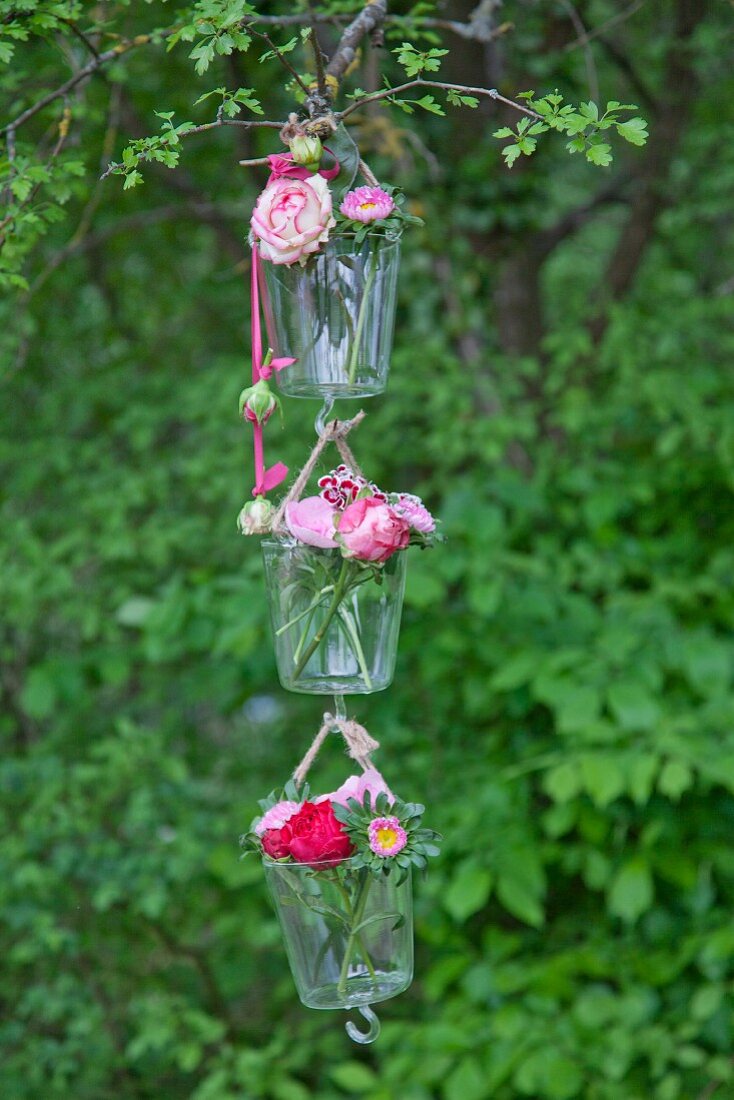 Roses and sweet Williams in three suspended vases hung from tree