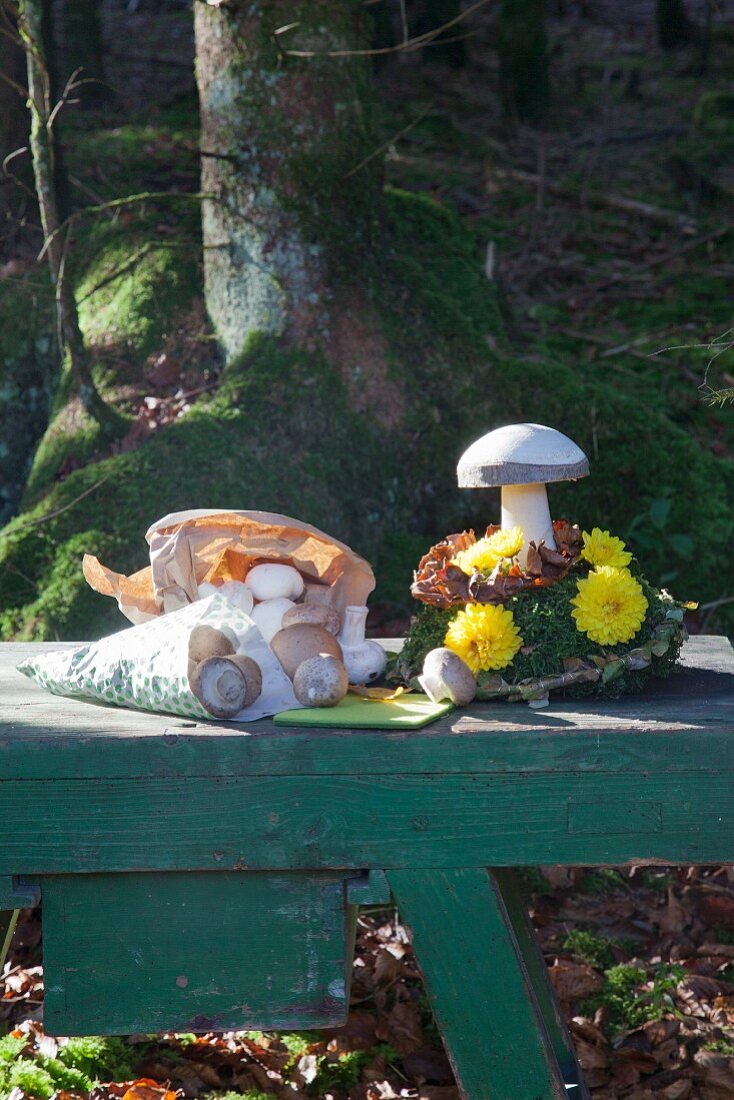 Wooden toadstool and paper bag of button mushrooms on bench in woods