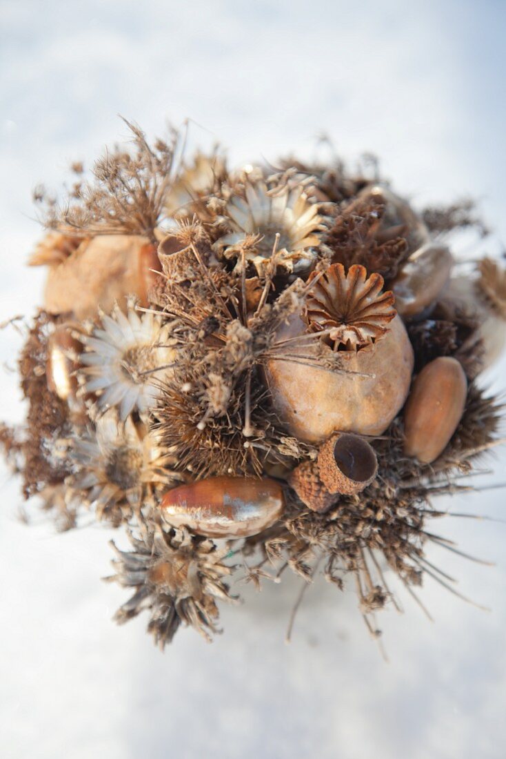 Arrangement of dried flowers, poppy seed heads and acorns