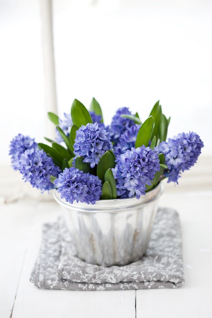 Blue hyacinths in silver jelly mould