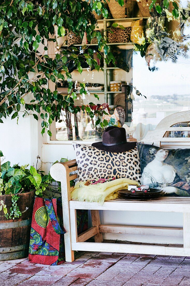 Ficus im Kübel und Gartenbank mit Kissen vor einem Schaufenster