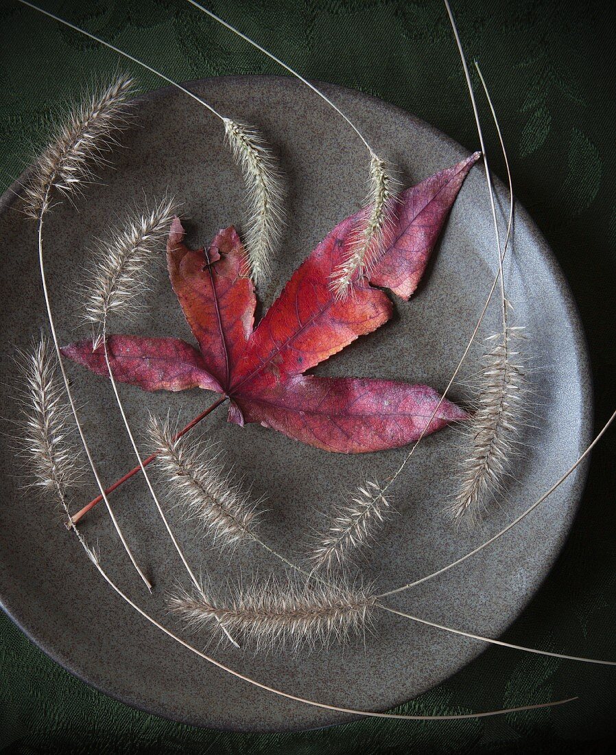 Red autumn leaf and grey grasses on plate