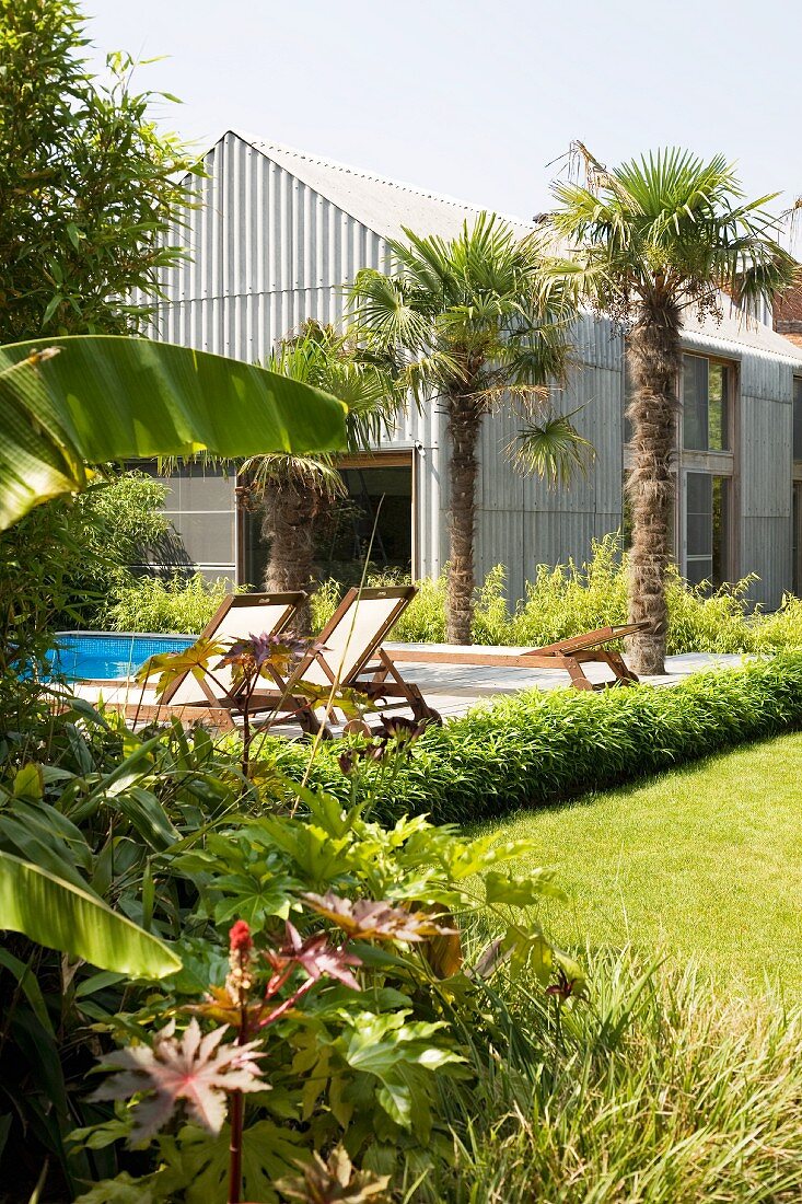 Garten mit Palmen, Pool und Sonnenliegen vor Wohnhaus