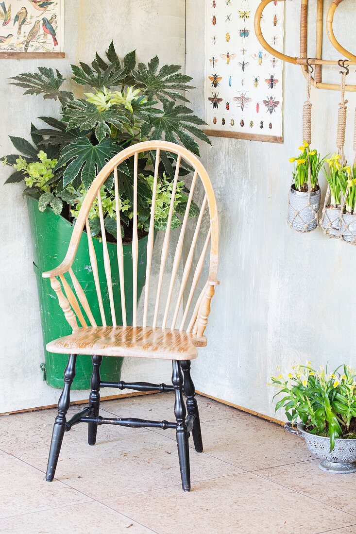 Holz-Armlehnstuhl und Pflanzenarrangement in Gartenhaus mit aufgehängten Vintage-Lehrtafeln