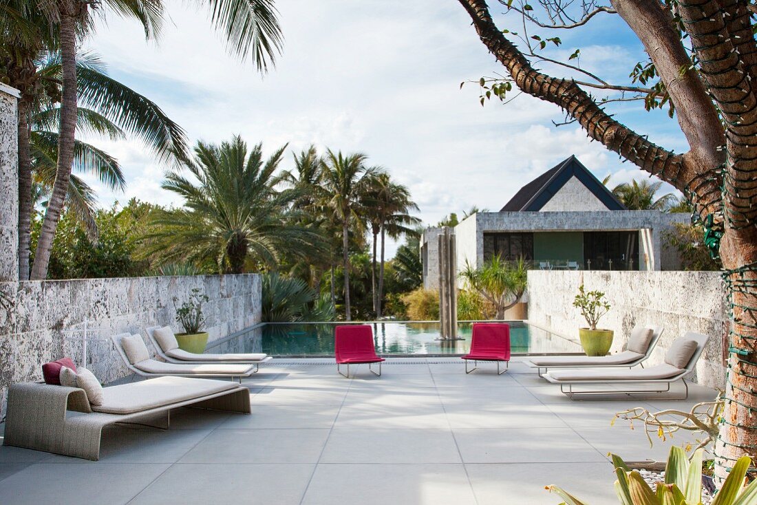 Modern loungers on terrace with pool amongst palm trees in background