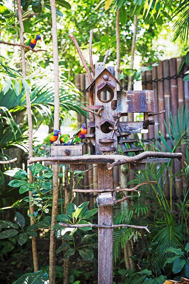 Bunte Vögel sitzen auf einem künstlerischen Vogelhaus