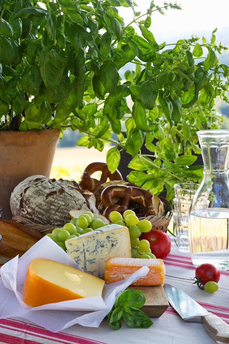 Gedeckter Tisch mit Wasserkaraffe, Brotkorb, Käse und Weintrauben im Freien