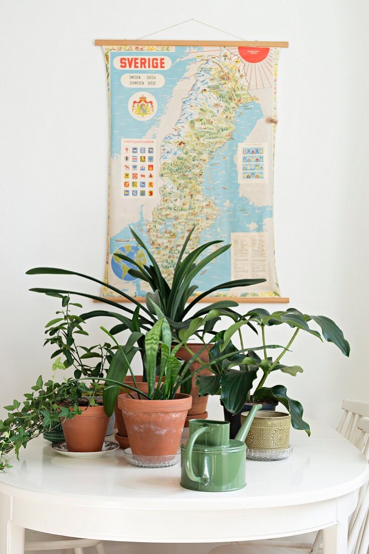 Topfpflanzen auf weißem Esstisch vor schwedischer Vintage Landkarte