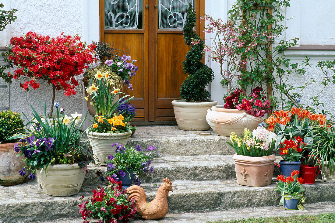 Frühling in Toepfen auf Treppe am Hauseingang