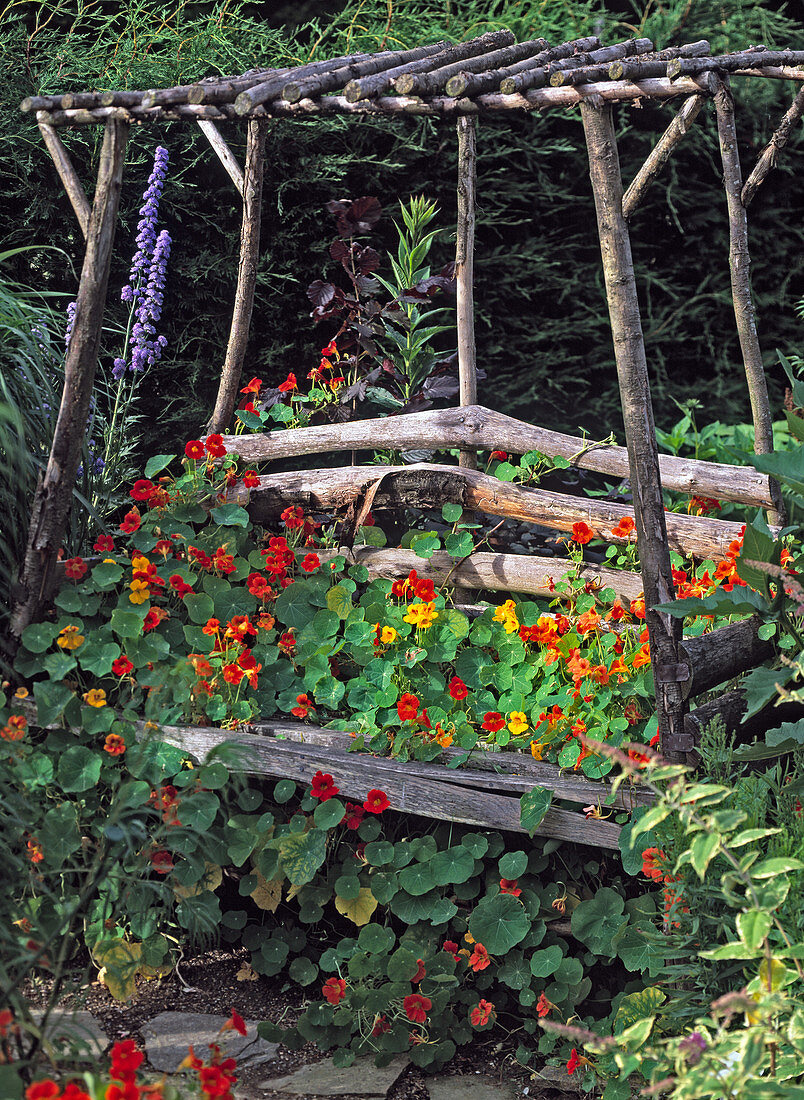 Garden bench made of wood