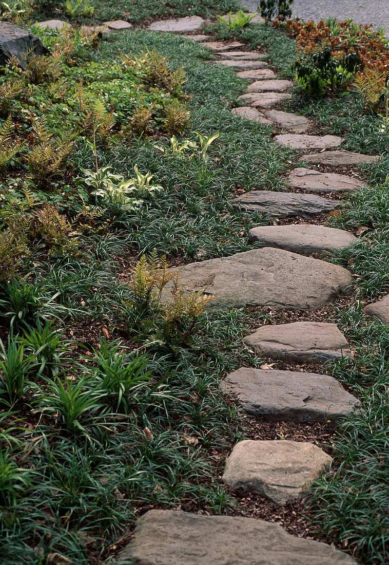Path made of natural stones