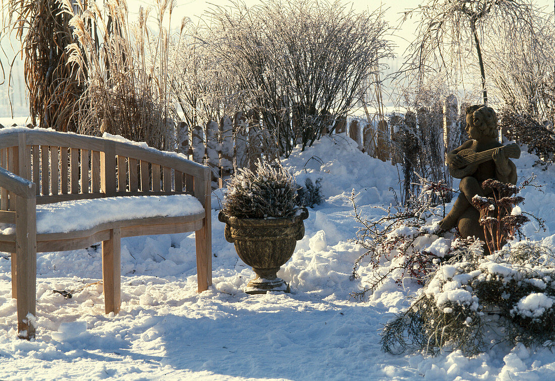 Garten IM Winter mit GRÄSERN, Bank