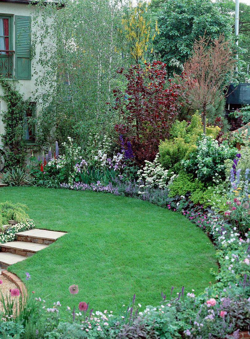 Lawn with Flowerbed, Lupinus, Iris, Delphinium, Allium