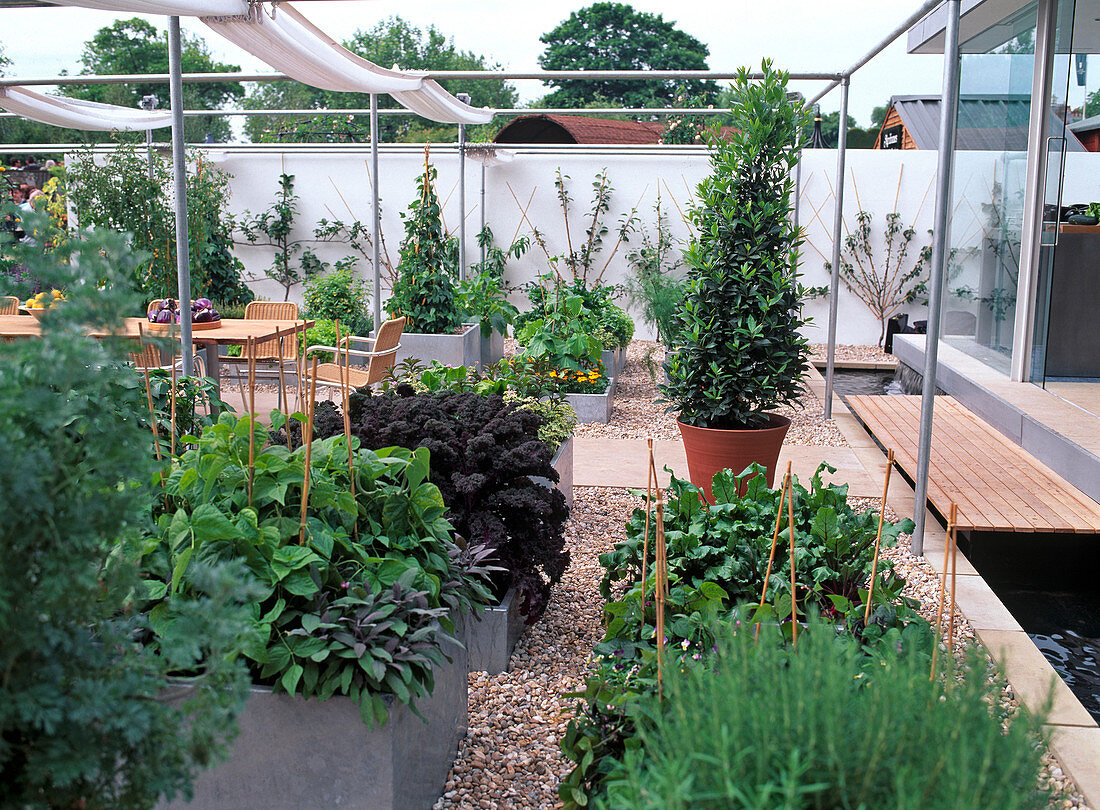 Modern vegetable garden with raised beds made of stainless steel, gravel path