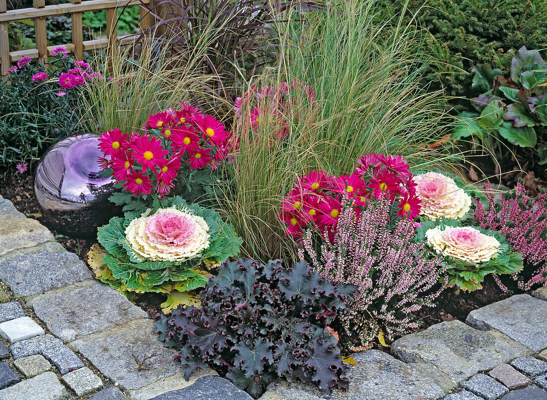 Changing bedding plants through the year