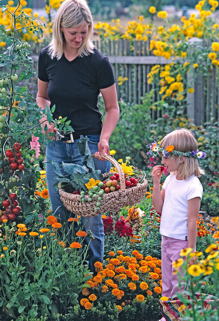Mutter und Tochter ernten Gemüse im Bauerngarten