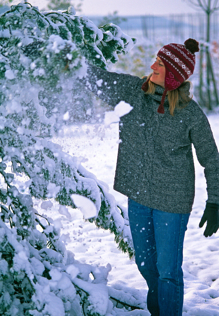 Young woman shakes snow from the branches