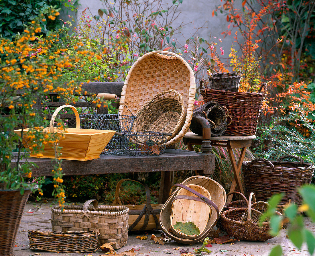 Baskets in all colors, shapes and sizes