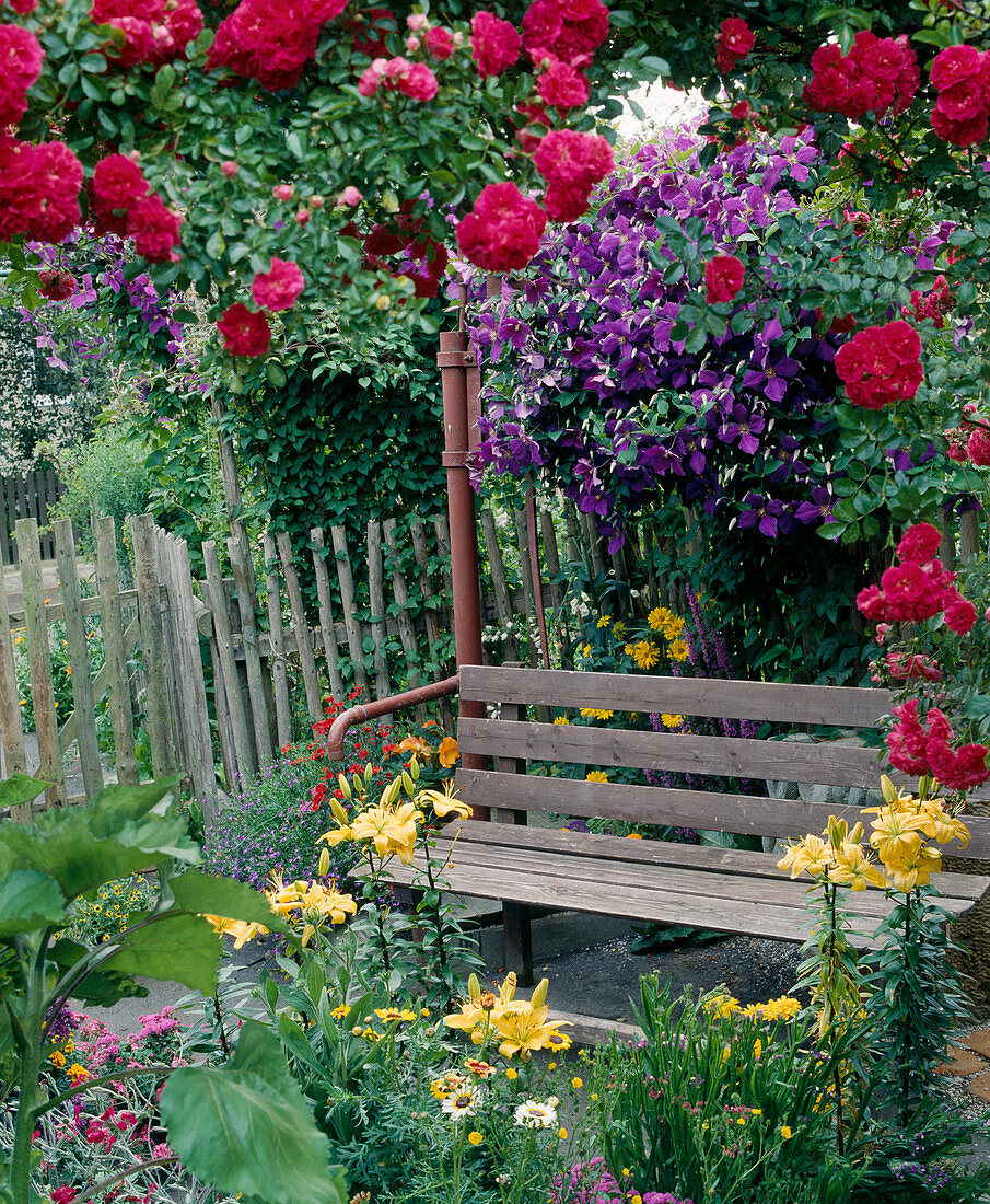 Wooden bench under clematis-covered fence