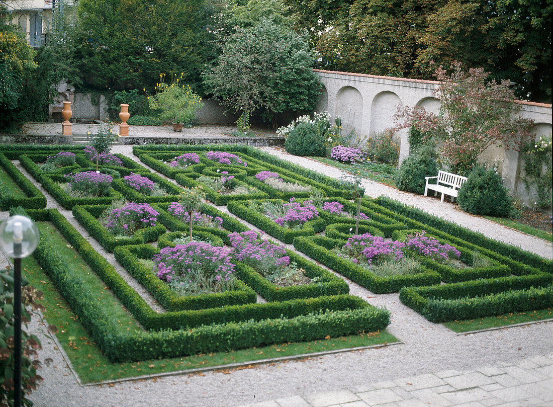 Garten mit BUCHS