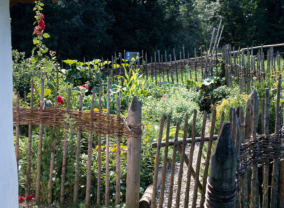 Farm garden with wicker fence
