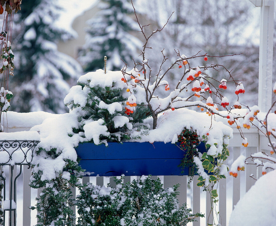 Jahreszeitenkasten im Winter