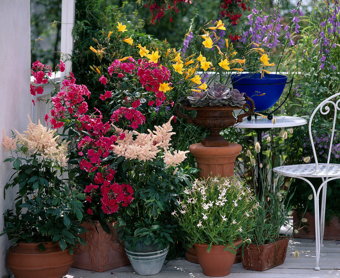 Astilben, Phlox, Hemerocallis