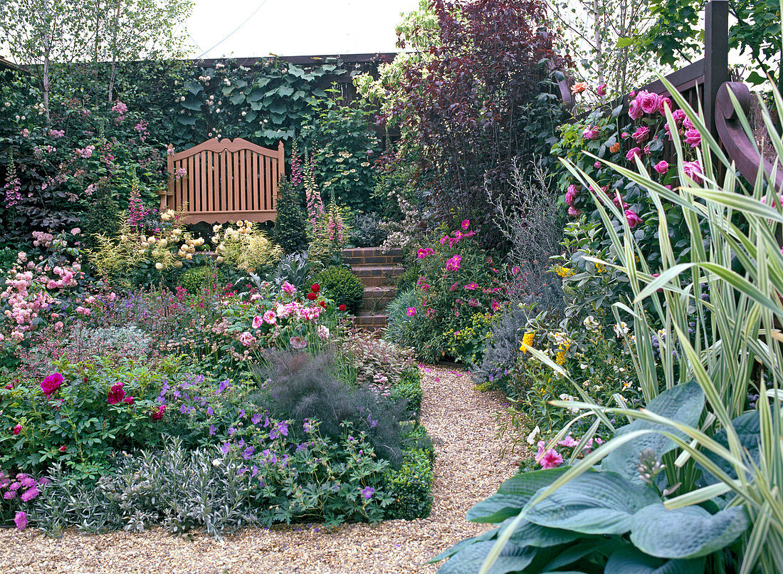 Wooden garden bench in perennial and rose garden