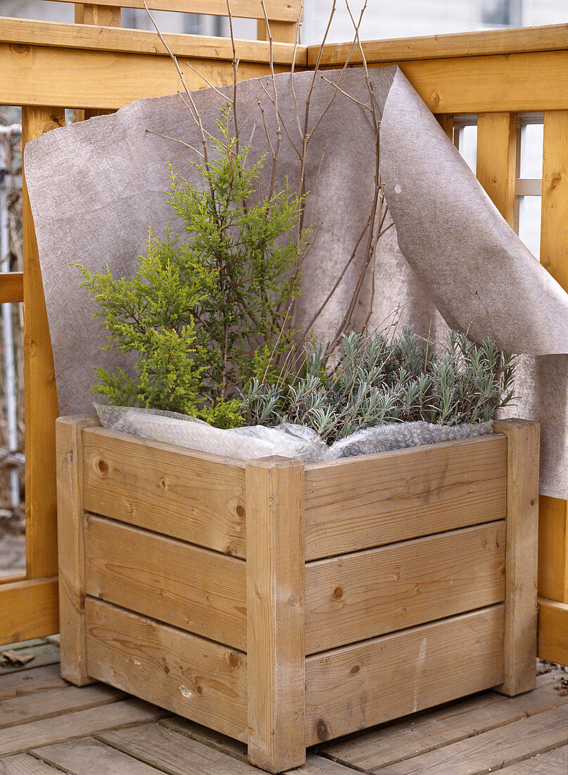 Bale protection for the winter (woody plants)