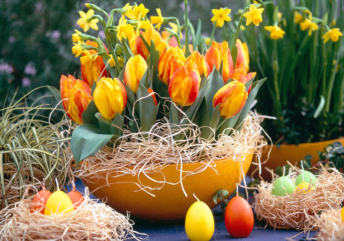 Tulpen und Narzissen in einer Tonschale